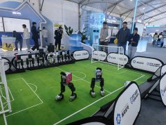 正在南岛的一家牛奶厂